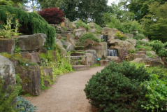 Wisley 37