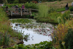 Wisley 36