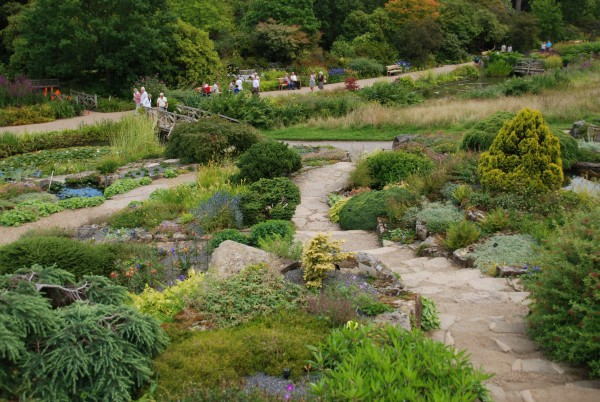 Wisley 35