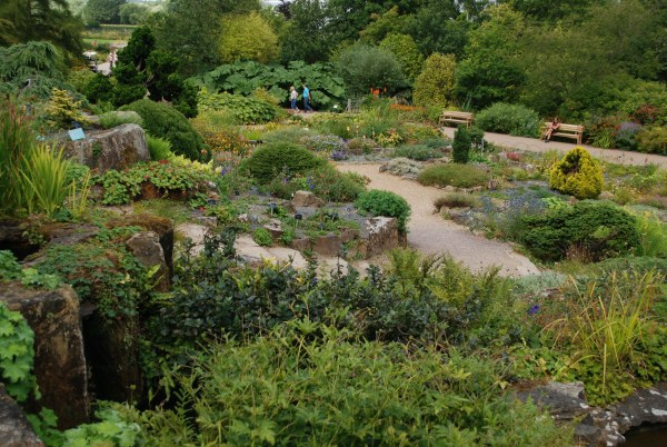 Wisley 34