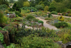 Wisley 34