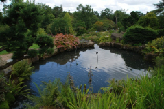 Wisley 33