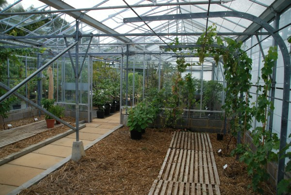 Wisley 32