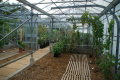 Wisley 32