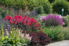 Wisley 49