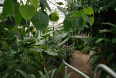 Wisley 48