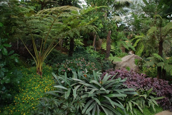 Wisley 47