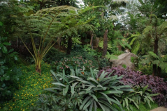 Wisley 47