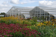 Wisley 44