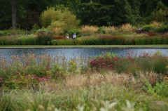 Wisley 42