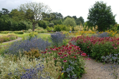 Wisley 41