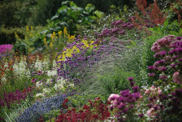 Wisley 52