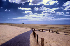 Westerhever