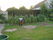 weitere 2 Beete geplant