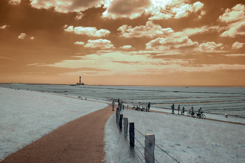 Westerhever original