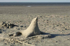 Westerhever Aug 7