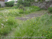 Neuer Gemüsegarten - Tag vier!