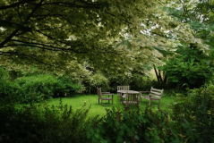 Beeches 1