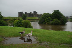 Caerffili 2