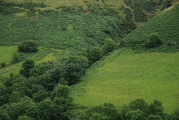 Brecon Beacons 4