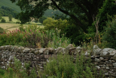 Llanthony Priory 16