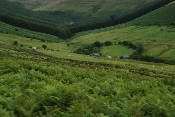 Brecon Beacons 11