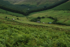 Brecon Beacons 11