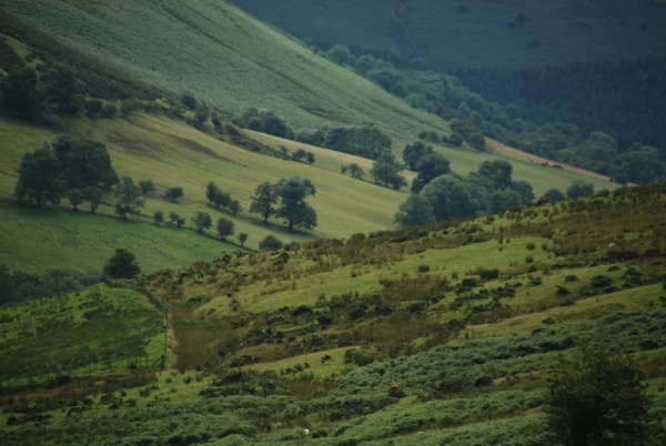 Brecon Beacons 10