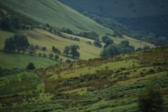 Brecon Beacons 10