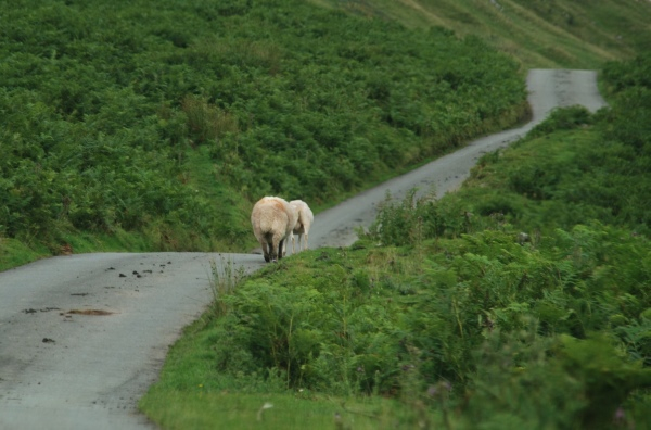 Brecon Beacons 9