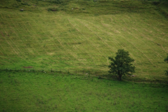 Brecon Beacons 8