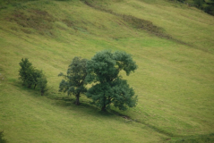 Brecon Beacons 7