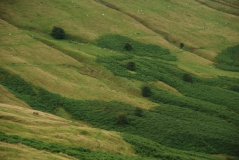 Brecon Beacons 6