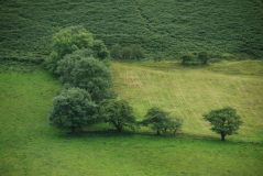 Brecon Beacons 5