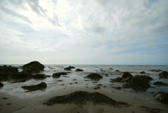 Tonfanau 7