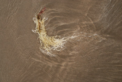 Tonfanau 3