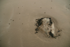 Tonfanau 2