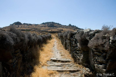Andros 05 nach Zagora