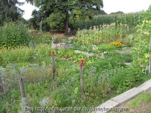 Garten im August 09