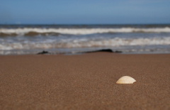 Prestatyn 2