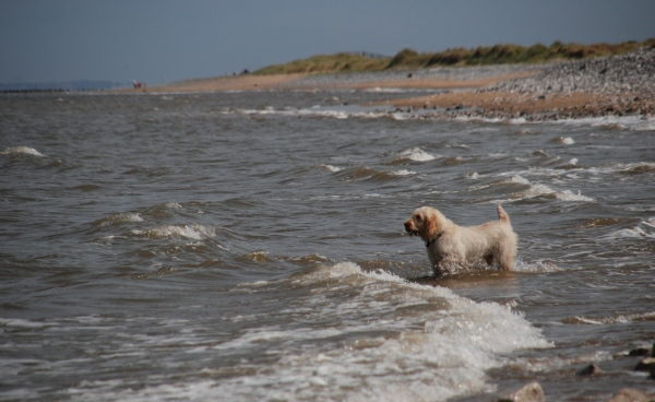 Prestatyn 12