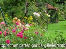 Septemberblumen!