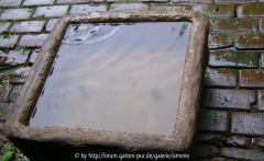 Wasser statt Blumen
