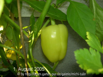 gelberPaprika