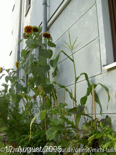 blicknachoben