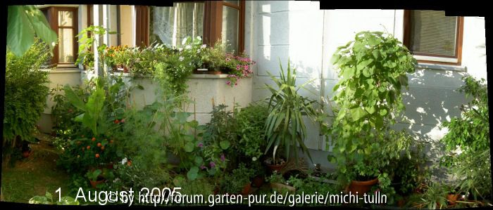 Panorama1