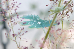 Herbstfarben 01