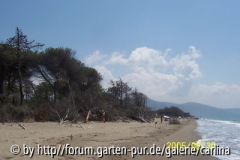 Strand Maremma