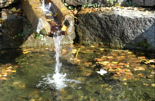 parco locarno3