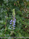 DSCF0110.JPG